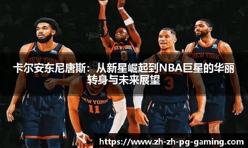 pg模拟器