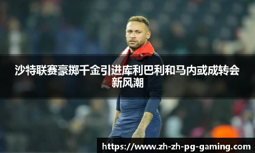 pg模拟器