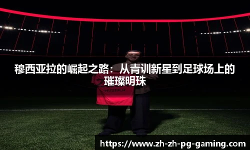 pg模拟器下载